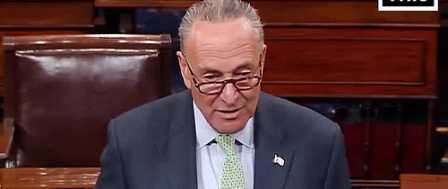 Schumer Reneges on Border Wall Funding Offer