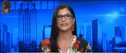 NRA spokesperson Dana Loesch